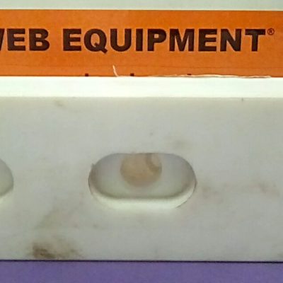 GENIE-ANALOG ROCKER SWITCH